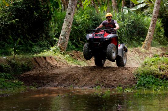 ATV SINGLE